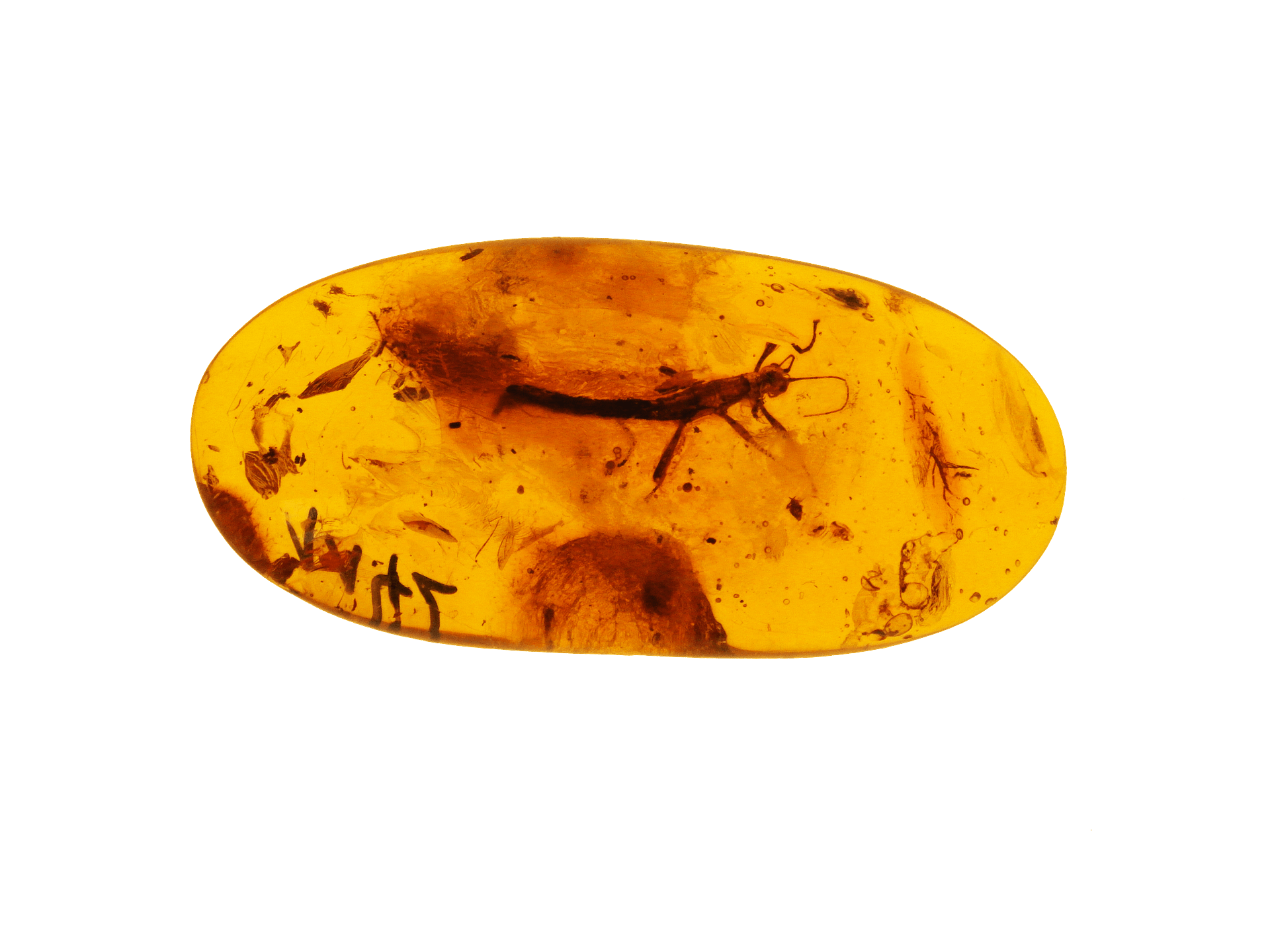 Bernstein Hintergrund