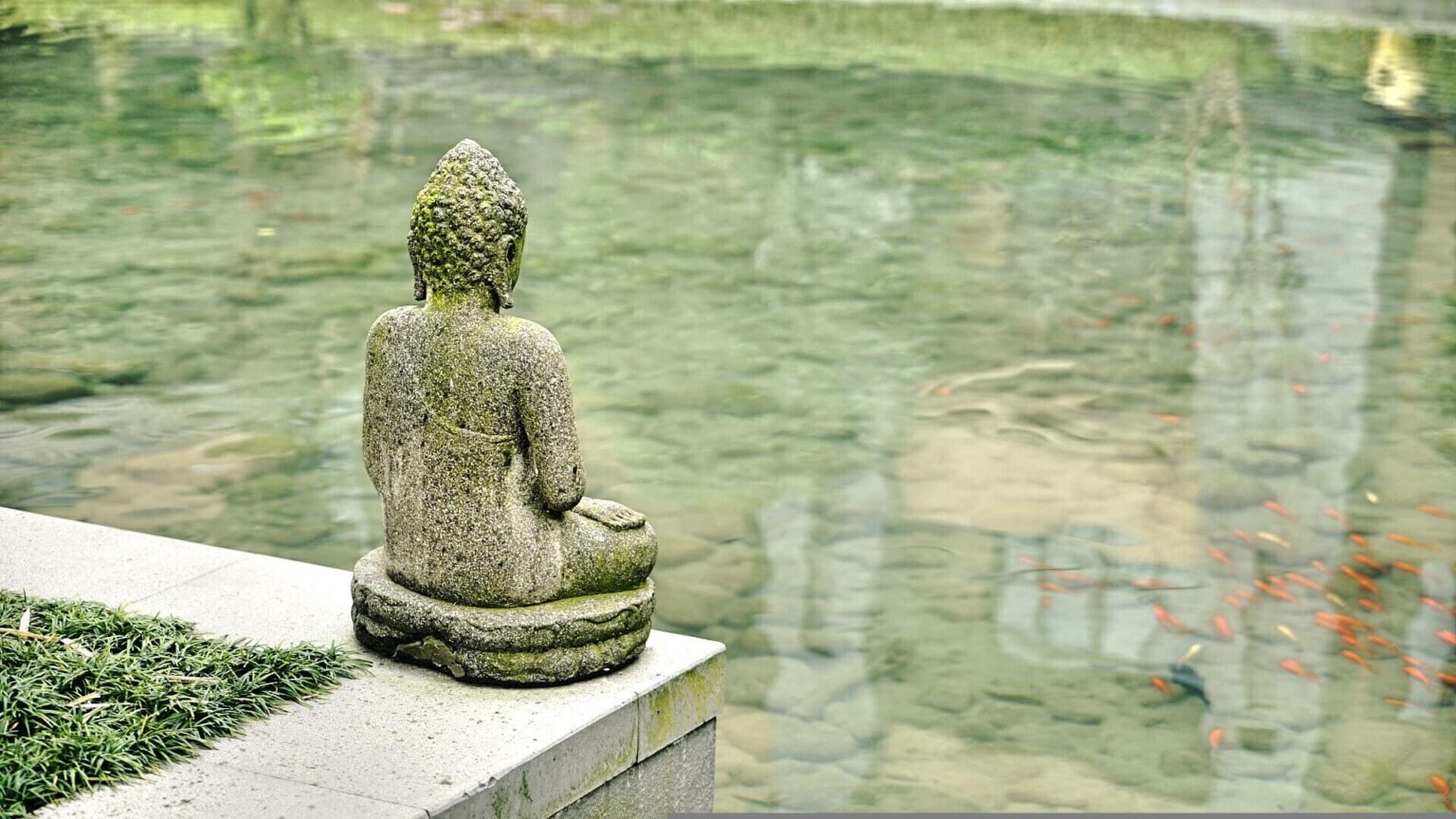 Buddha Sprüche und Zitate Weisheiten für das Leben