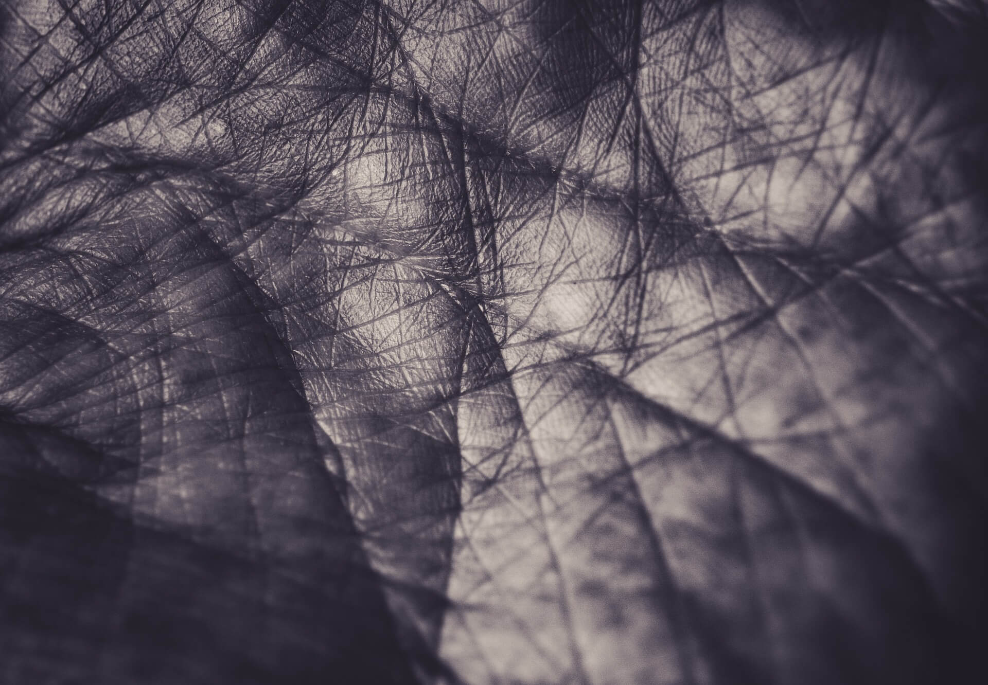 Handlesen Schicksalslinie